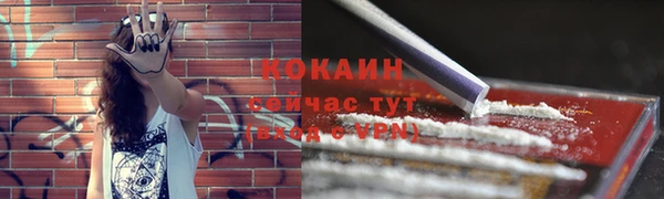 СК Богородицк