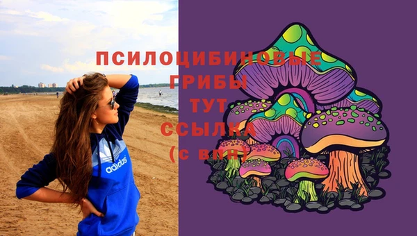 СК Богородицк