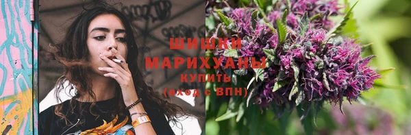 спайс Бородино
