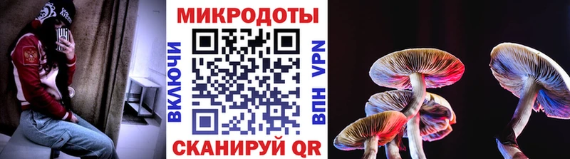 Купить где  Миллерово  Галлюциногенные грибы Cubensis 