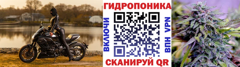 Купить  Миллерово  Каннабис OG Kush 
